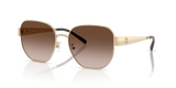 Shiny Light Gold  - Brown Gradient
