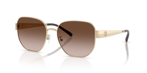 Shiny Light Gold  - Brown Gradient