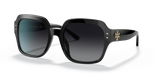 Black  - Grey Gradient Polarized