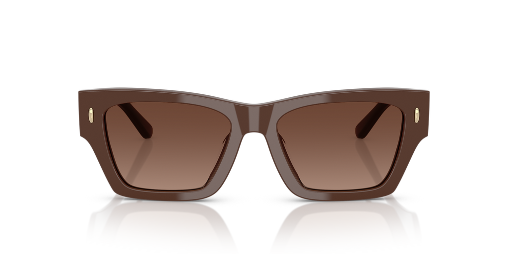 Solid Brown