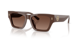 Solid Brown  - Brown Gradient Polar