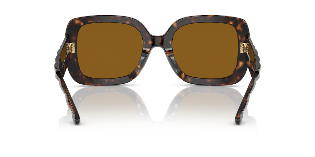 Dark Tortoise
