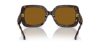 Dark Tortoise