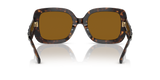 Dark Tortoise