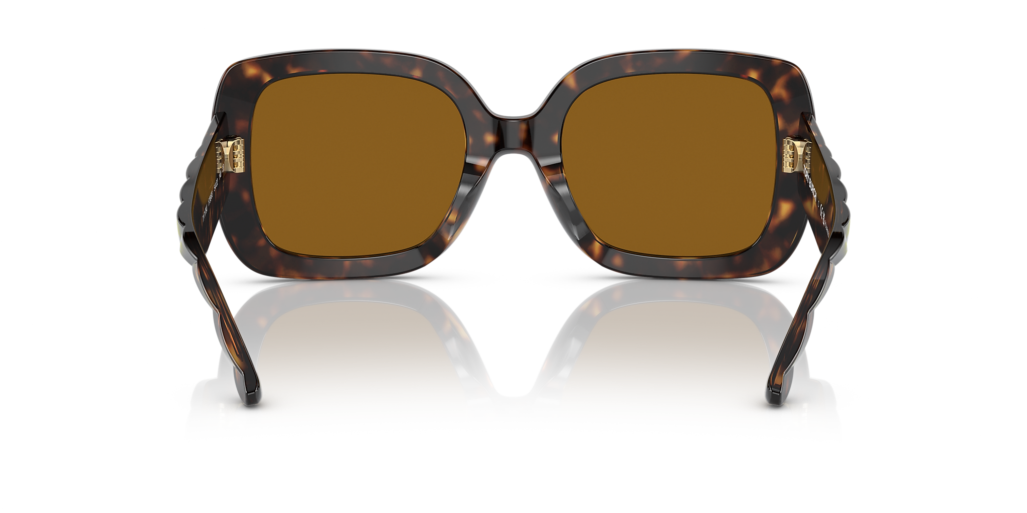 Dark Tortoise
