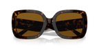 Dark Tortoise