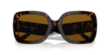 Dark Tortoise