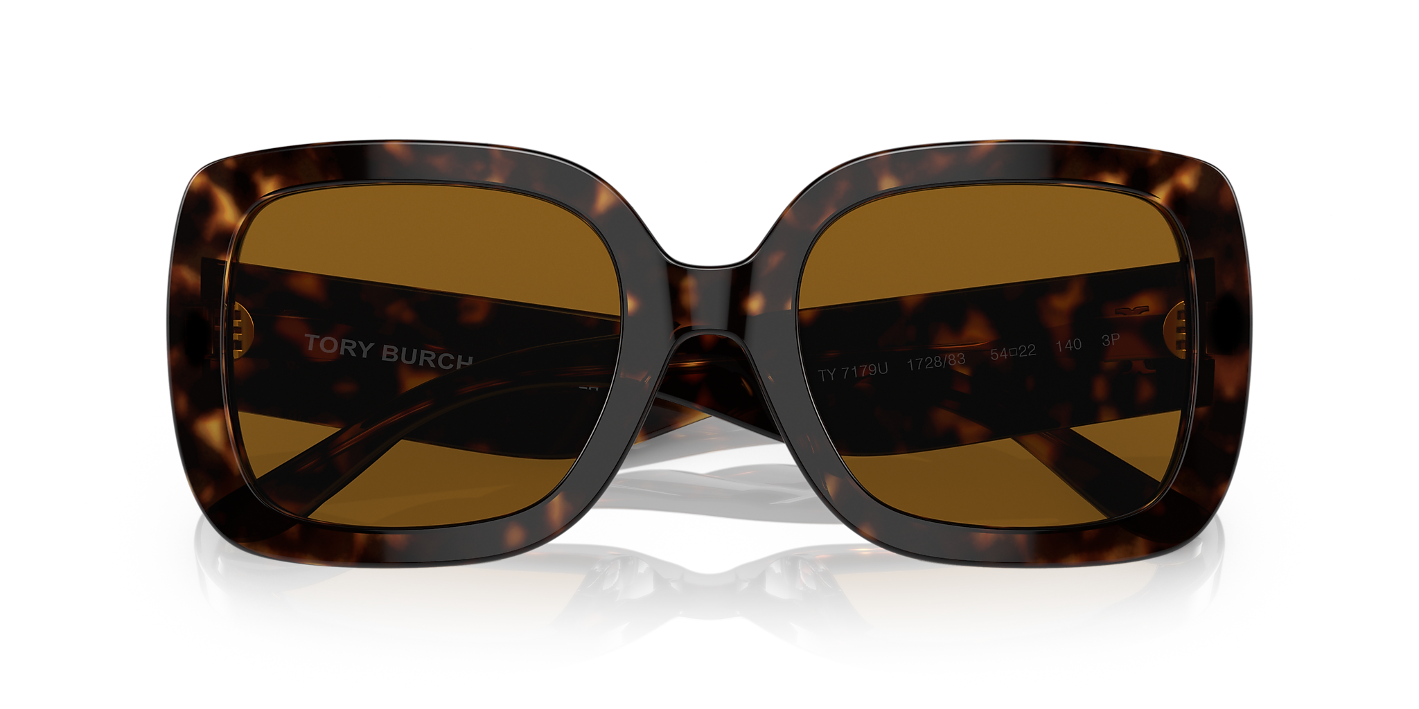 Dark Tortoise