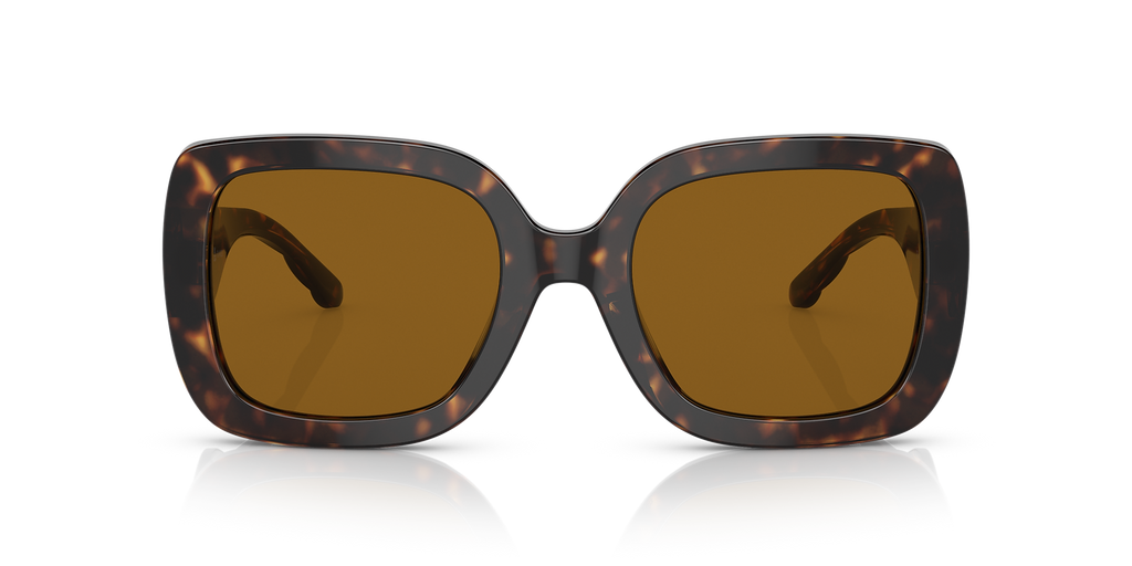 Dark Tortoise