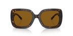 Dark Tortoise