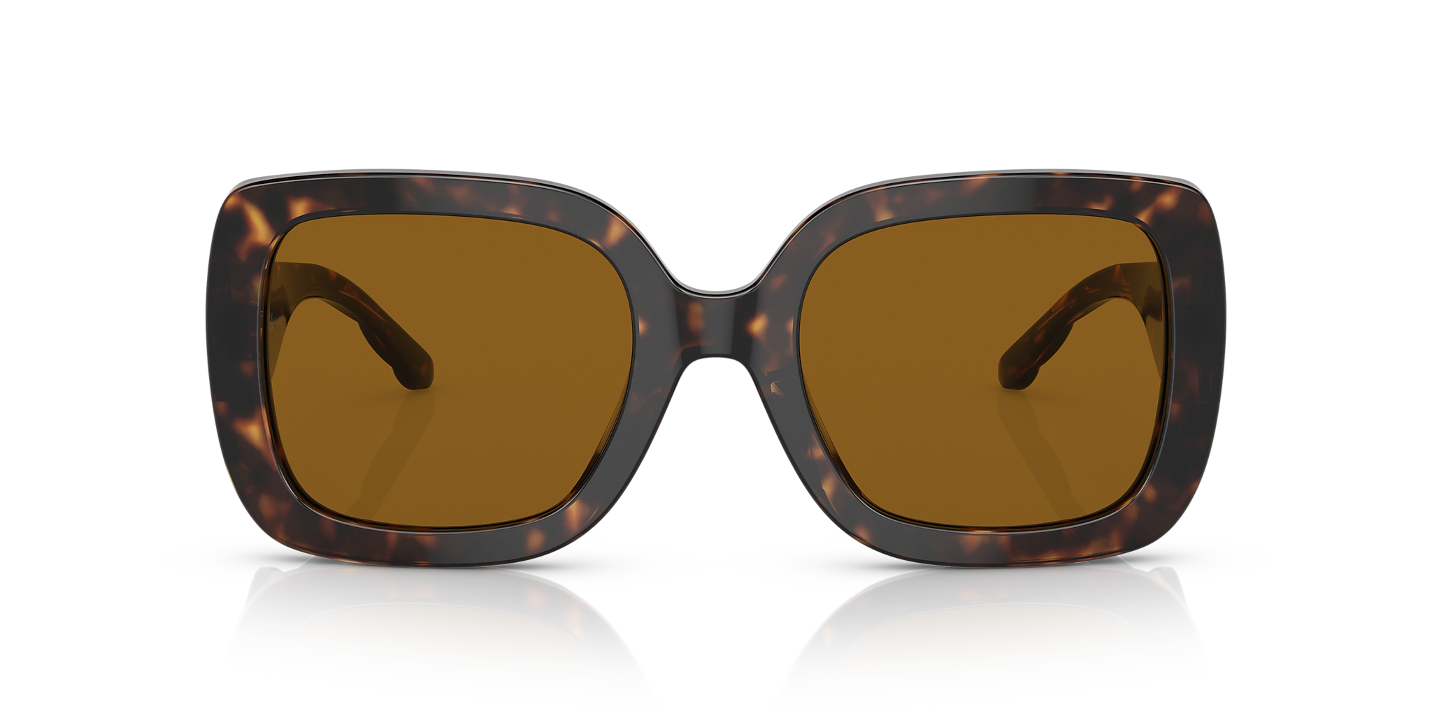 Dark Tortoise