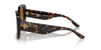 Dark Tortoise