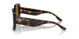 Dark Tortoise
