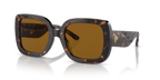Dark Tortoise