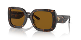 Dark Tortoise