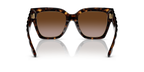 Dark Tortoise