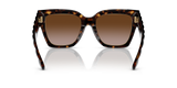 Dark Tortoise
