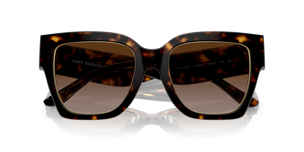 Dark Tortoise