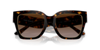 Dark Tortoise