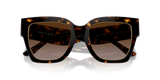 Dark Tortoise