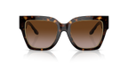 Dark Tortoise
