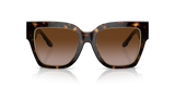 Dark Tortoise