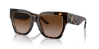 Dark Tortoise