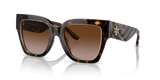 Dark Tortoise