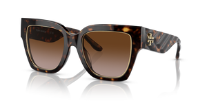Dark Tortoise  - Brown Gradient