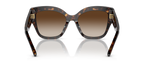 Dark Tortoise