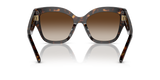 Dark Tortoise