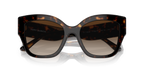 Dark Tortoise