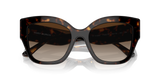 Dark Tortoise