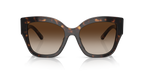 Dark Tortoise