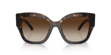 Dark Tortoise
