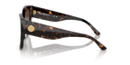 Dark Tortoise