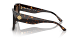 Dark Tortoise