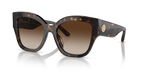 Dark Tortoise