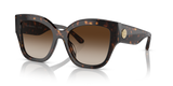 Dark Tortoise
