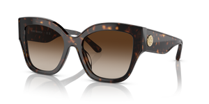 Dark Tortoise  - Brown Gradient