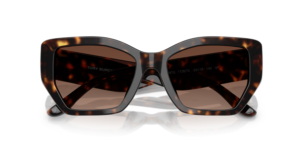 Dark Tortoise