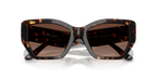 Dark Tortoise