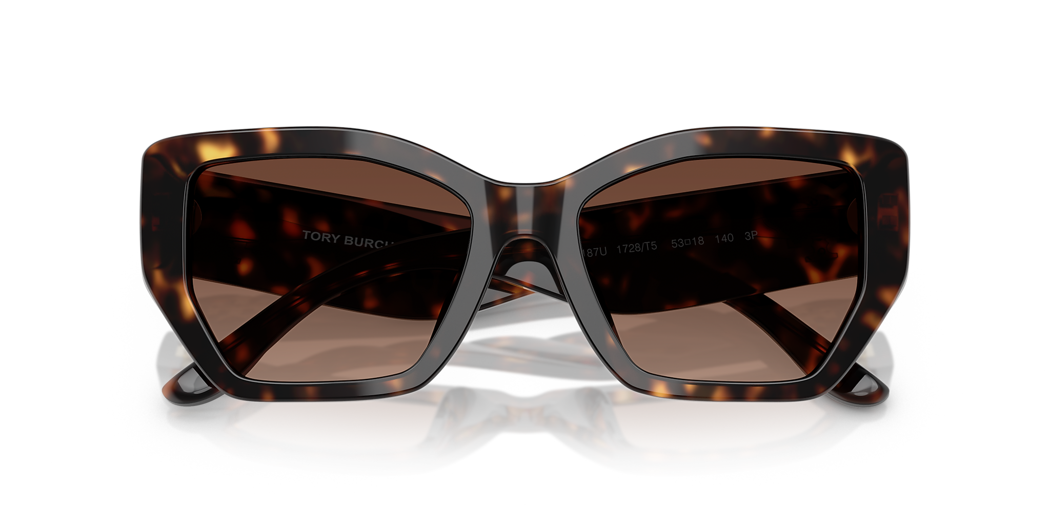 Dark Tortoise
