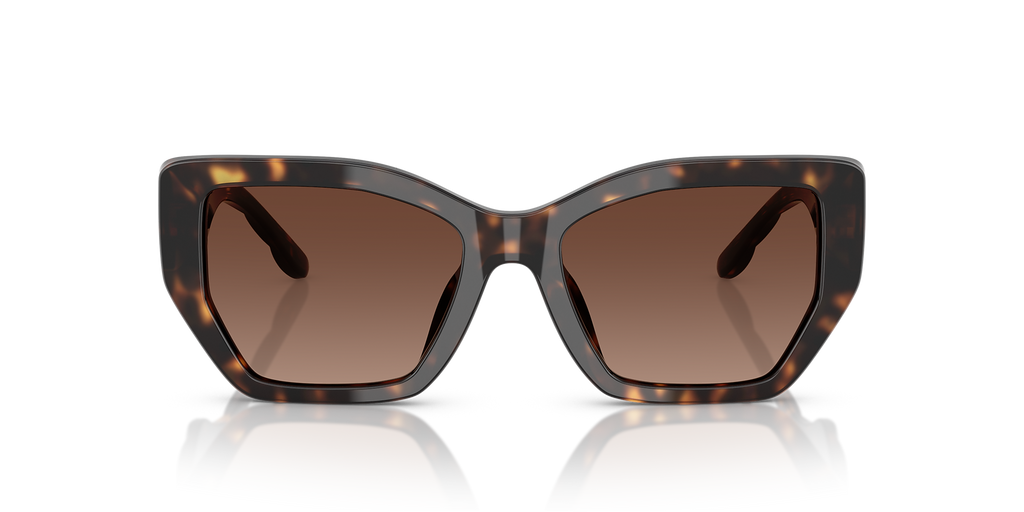 Dark Tortoise
