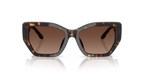 Dark Tortoise