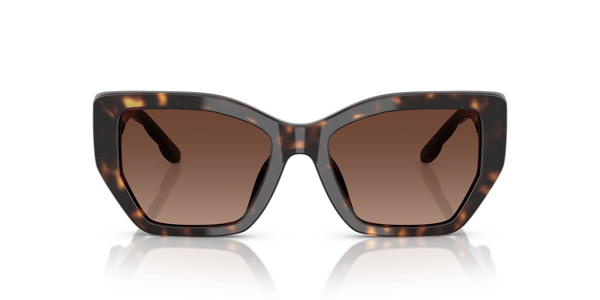 Dark Tortoise