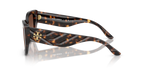Dark Tortoise
