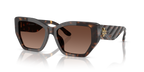 Dark Tortoise