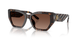 Dark Tortoise  - Brown Gradient Polar