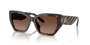 Dark Tortoise  - Brown Gradient Polar